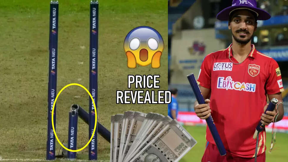 IPL Stumps Price in Indian Rupees