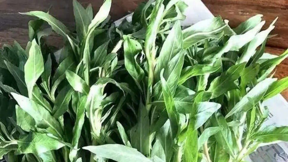 Kulekhara Leaves Uses & Benefits Explained