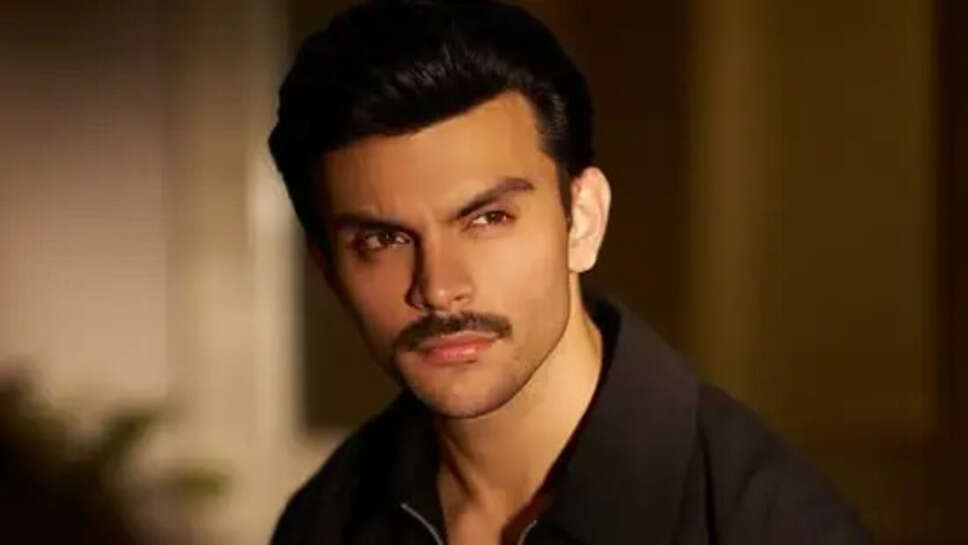 Veer Pahariya Biography, Age, Height, Career, Net Worth In 2025