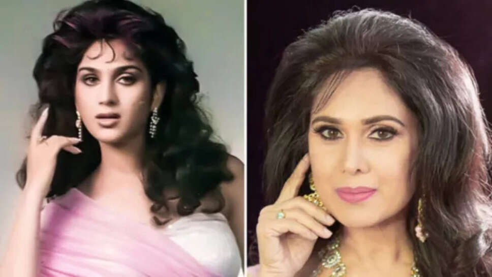 Actress Meenakshi Seshadri Age, Family, Husband, Movies, Biography 