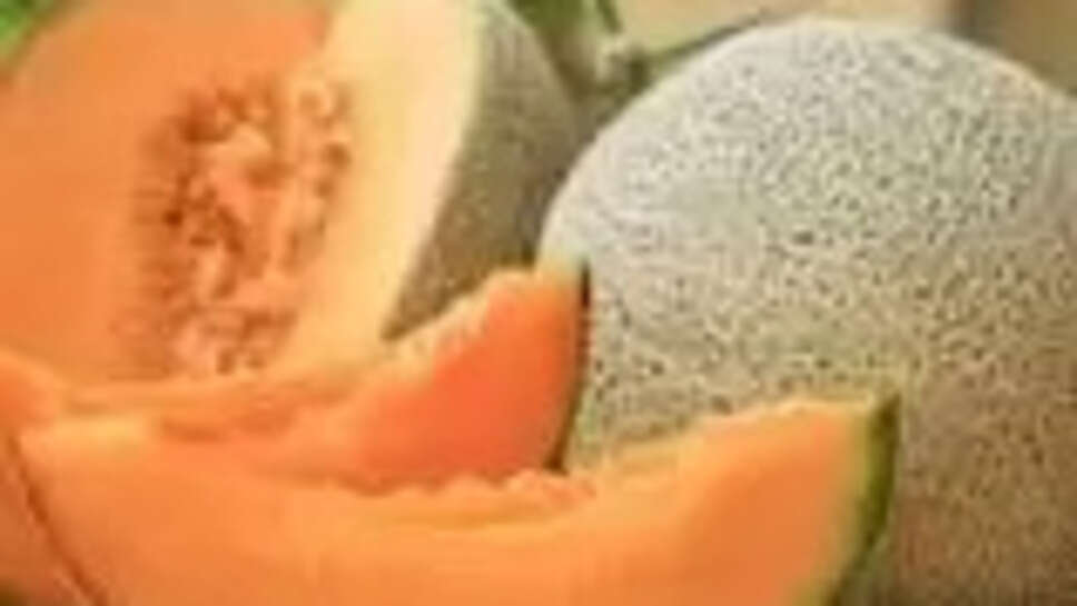 Top 10 Benefits Of Having Muskmelon Kharbuja Seeds Explained