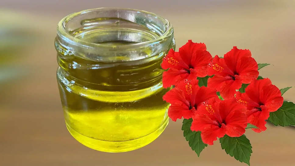  How To Make Hibiscus Oil At Home? What Are It's Benefits?