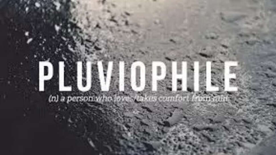 Pluviophile