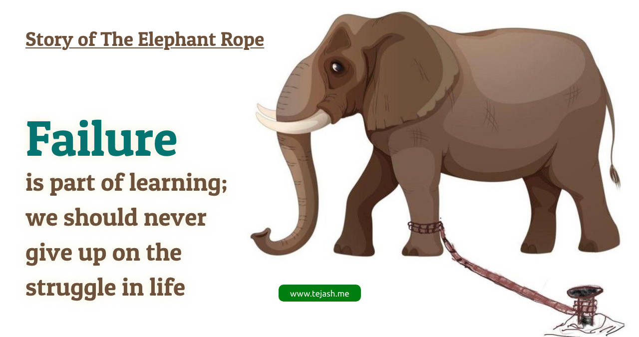 The elephant rope