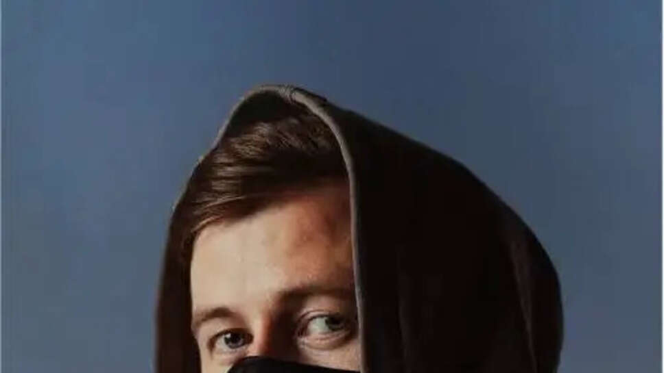 Net Worth Of Alan Walker In 2025
