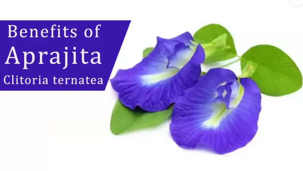 Benefits of Aprajita Flower