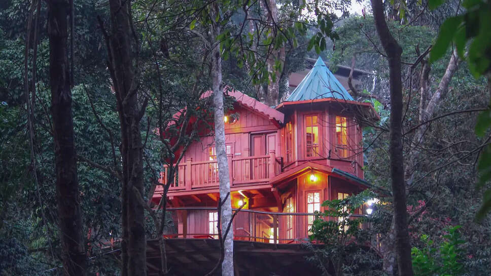 Tree House Resort 