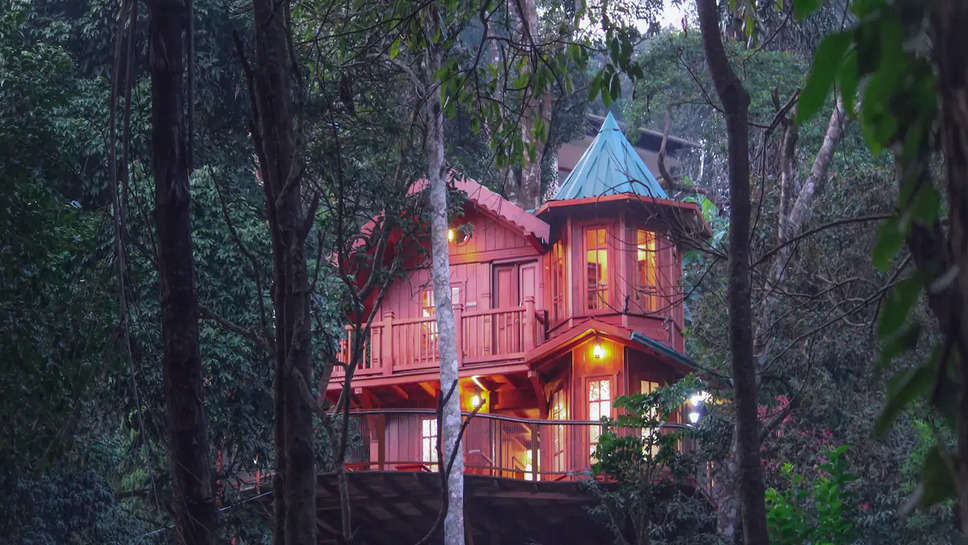 Tree House Resort 
