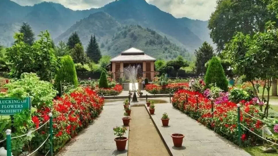 Kashmir