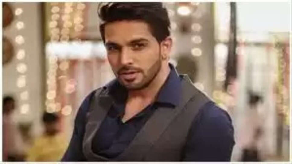 Actor Shehzada Dhami 