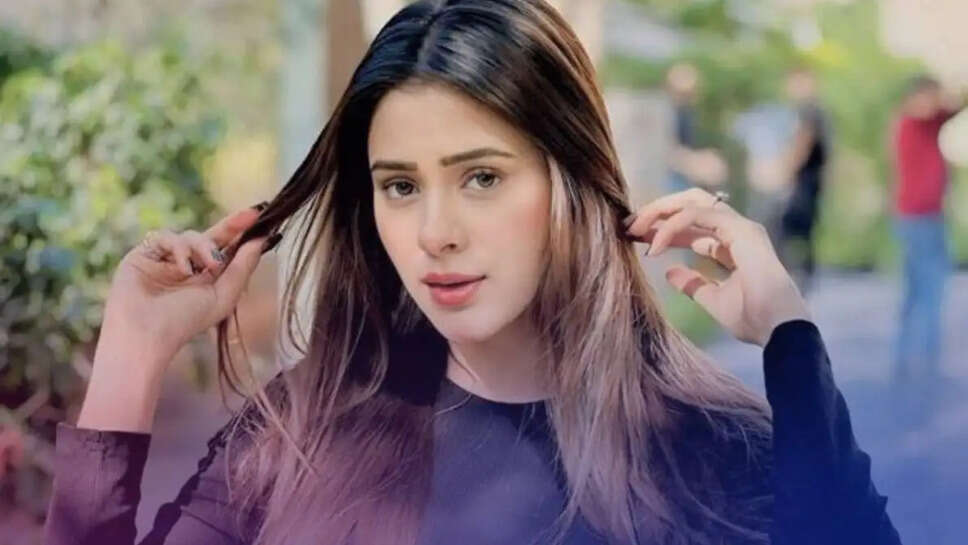 Hiba Nawab Biography, Husband Name, Age, Relationship, Career, Net Worth 
