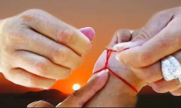 772565bf4080fec399dd5fb100278cf3.jfif