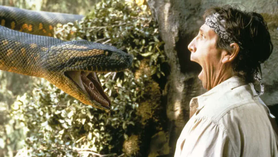 Top 10 Scariest Movies Based On Wild Animals Ever Till 2022