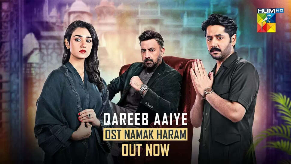 Namak Haram Drama Review, Director, Cast, Ratings, Timings