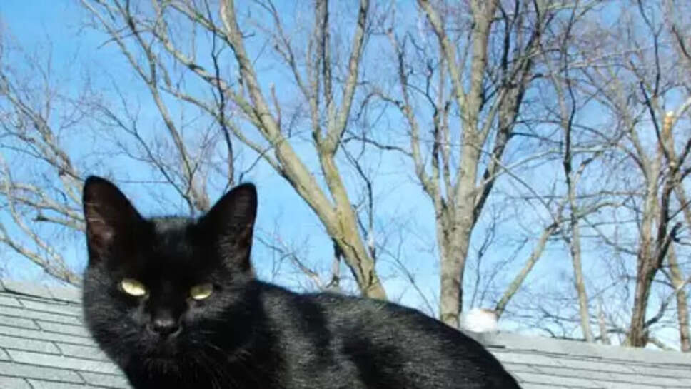 Top 10 Most Popular Indian Superstitions Ever!