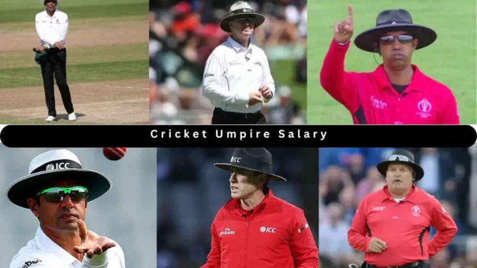 Top 10 Cricket Umpire and Their Salary Till 2025