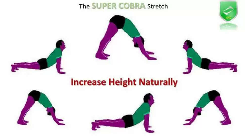 Stretching Exercise