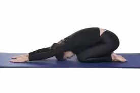 ae5f4bdb3de8e6436e5a0ef1ec553c0e.jfif