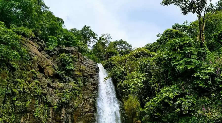 Top 10 Waterfalls Near Rajpipla In 2025