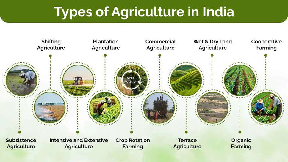 Different Types of Farming Chart, Meaning, Examples In 2025