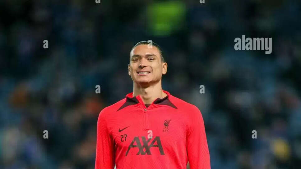 Darwin Gabriel Núñez