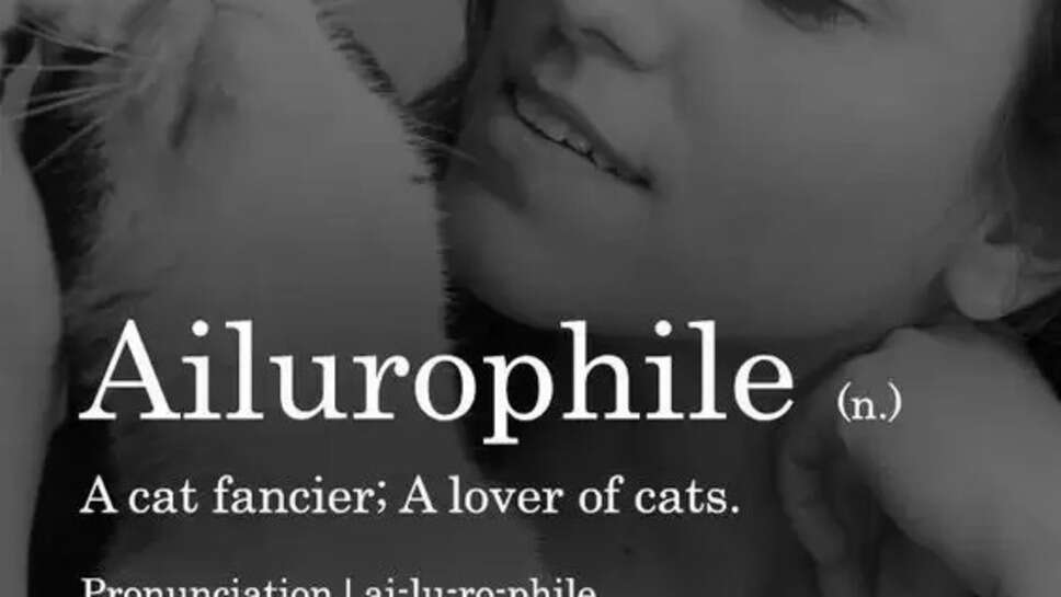 Everything About 20 Philias To Know What ‘Phile’ You Are