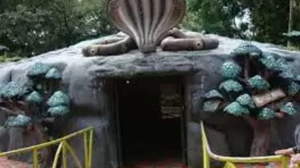  Thiruvananthapuram Zoo, Kerala