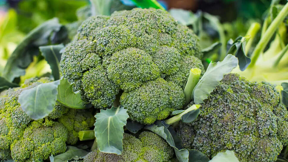 How To Grow Brocolli At Home In India
