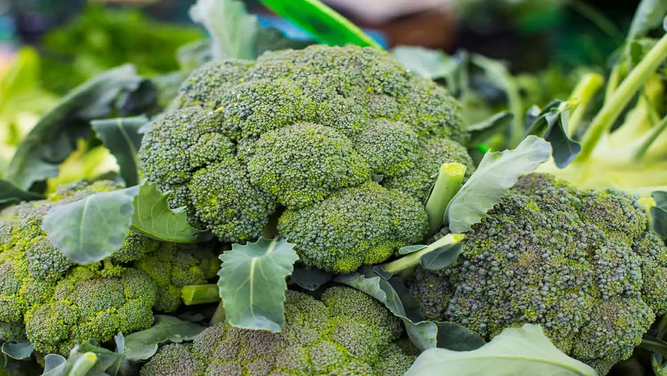 How To Grow Brocolli At Home In India