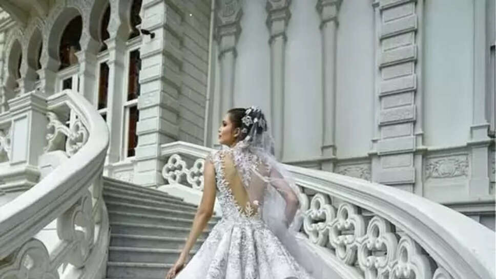 Top 10 Most Expensive and Beautiful Dresses In The World 2024