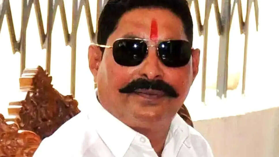 Anant Singh Wife, Son, Net Worth, Criminal Cases, Biography 