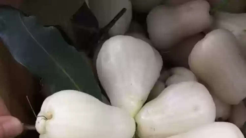  Benefits Of White Jamun Fruit Explained