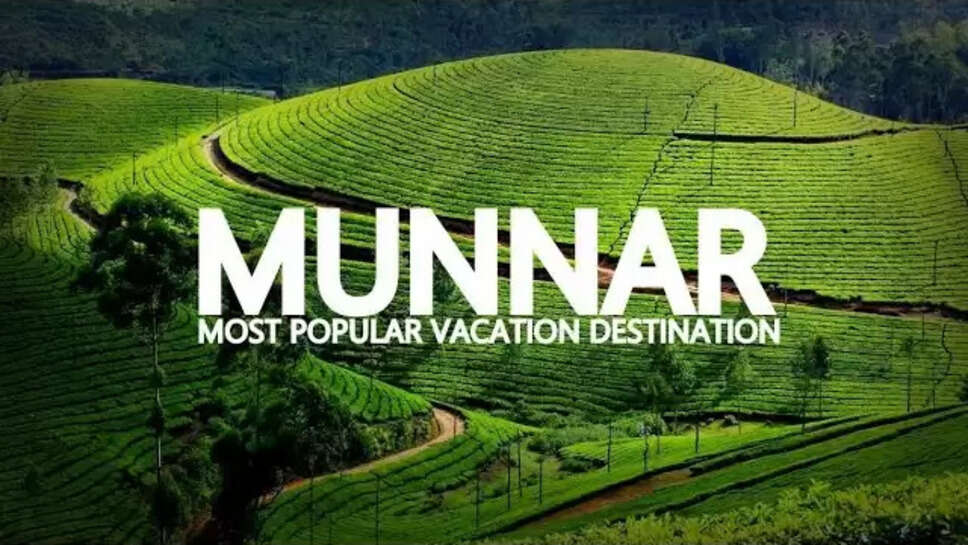 Know About Munnar Trip Quotes And Captions For Instagram