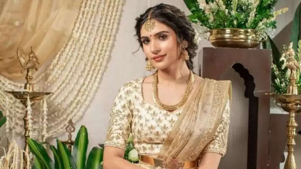 Tarini Kalingarayar Age, Family, Career, Net Worth In 2025