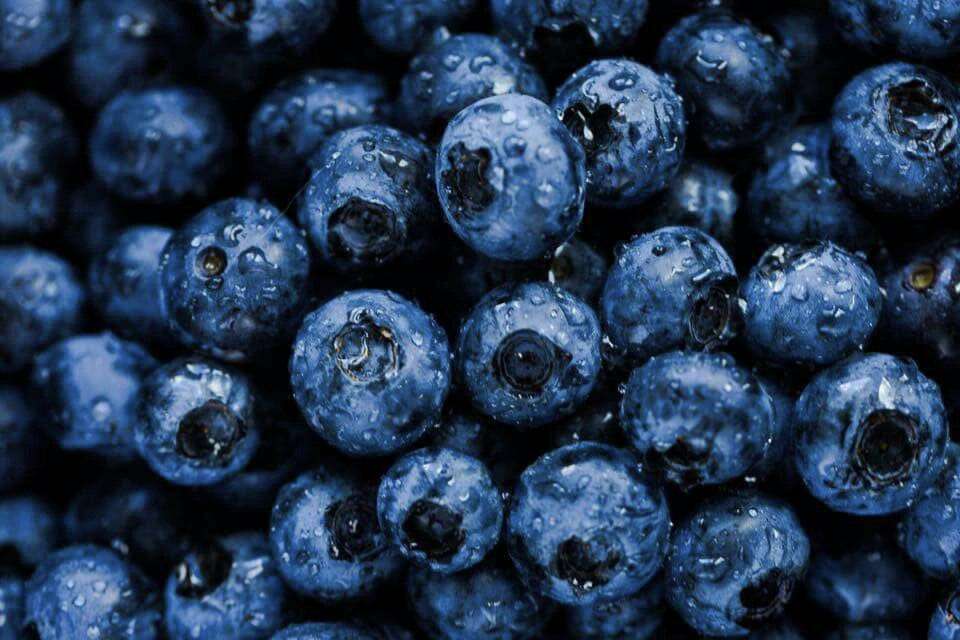 Top 5 Benefits Of Blueberry For Skin