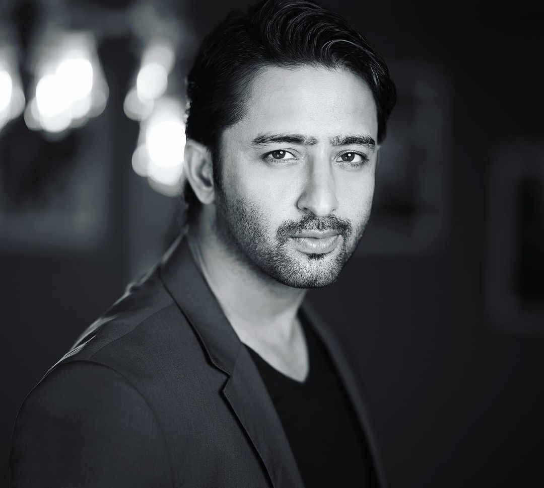Shaheer Sheikh's Net Worth In 2023 Revealed!
